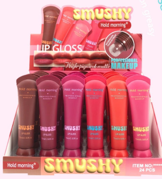 GLOSS CON COLOR CONTRA EL AGUA 24 PZ HL6295