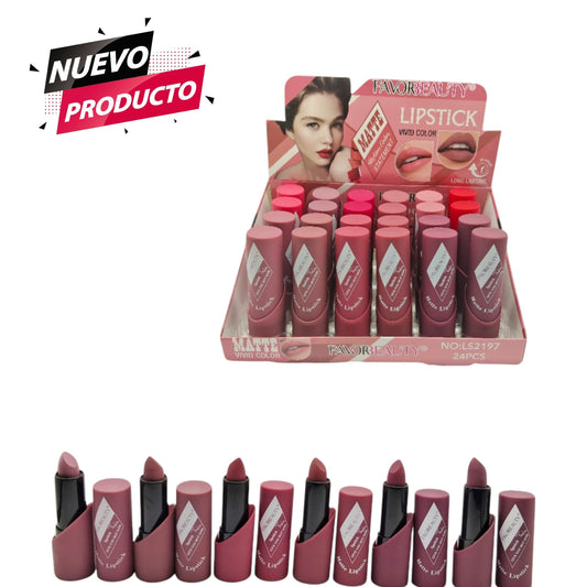 Labial Matte En Barra 24 PCS LS2197