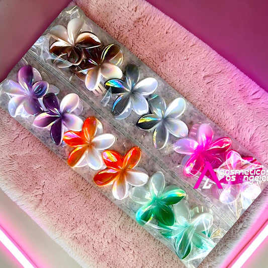 PINZA HAWAIANA DEGRADADA 12 PZ FJ5010