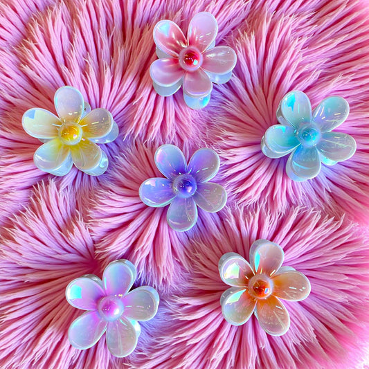 PINZA HAWAIANA NACARADA 12 PZ FJ5032