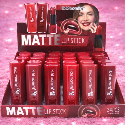 LABIAL EN BARRA MATTE EXAGONAL 24 PZ HB5728
