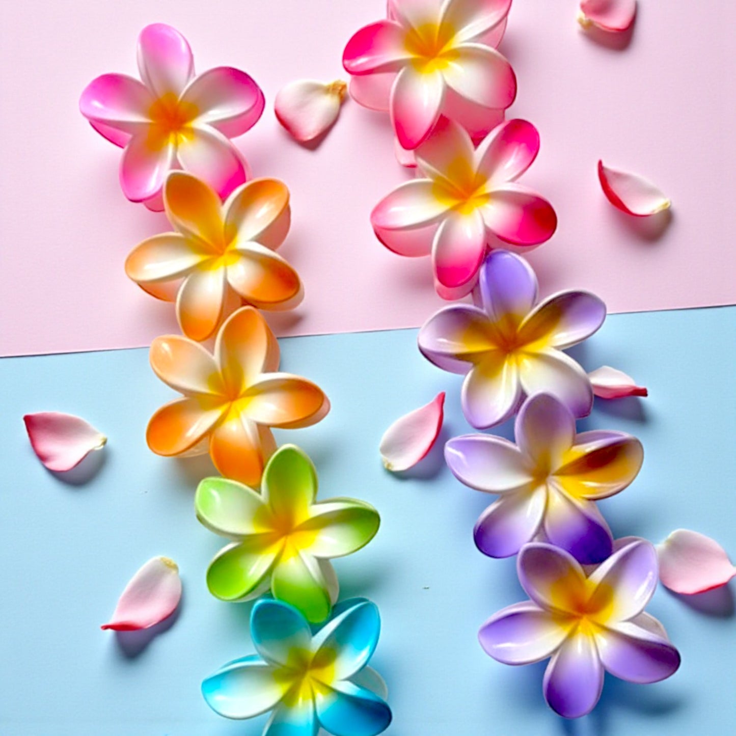 PINZAS HAWAIANA PAQ CON 12 PZ FJ4077