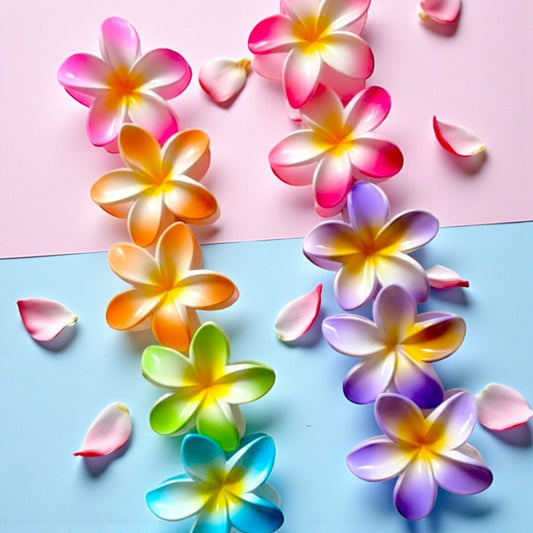 PINZAS HAWAIANA PAQ CON 12 PZ FJ4077